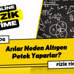 Arılar Neden Altıgen Petek Yaparlar