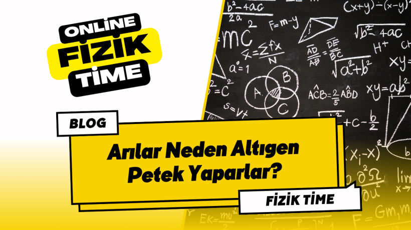 Arılar Neden Altıgen Petek Yaparlar?